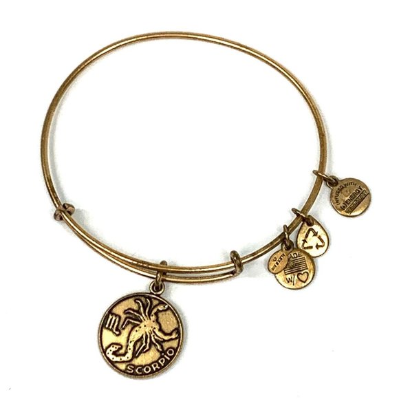 Alex and shop ani scorpio bracelet